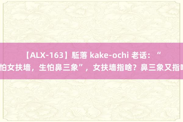 【ALX-163】駈落 kake-ochi 老话：“不怕女扶墙，生怕鼻三象”，女扶墙指啥？鼻三象又指啥？