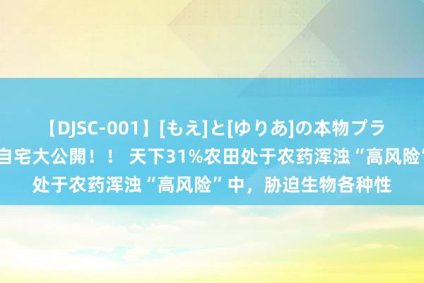 【DJSC-001】[もえ]と[ゆりあ]の本物プライベート映像流出！ 自宅大公開！！ 天下31%农田处于农药浑浊“高风险”中，胁迫生物各种性