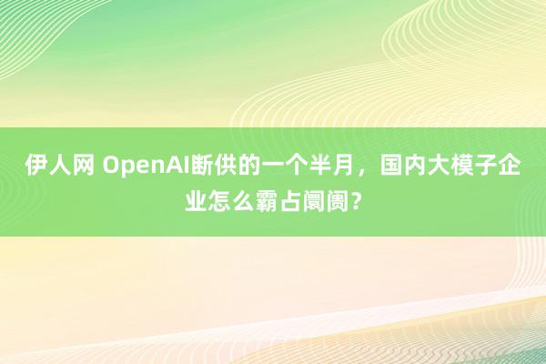 伊人网 OpenAI断供的一个半月，国内大模子企业怎么霸占阛阓？