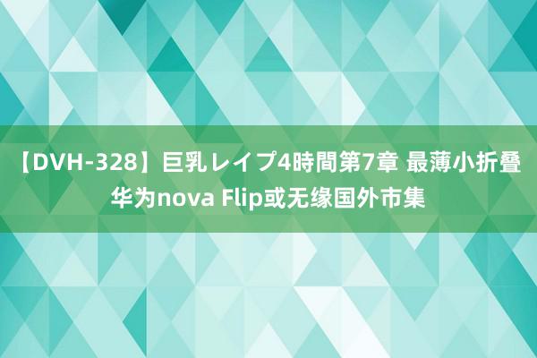 【DVH-328】巨乳レイプ4時間第7章 最薄小折叠 华为nova Flip或无缘国外市集