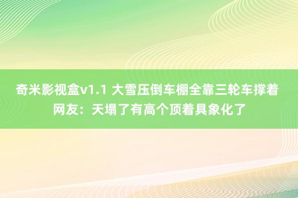 奇米影视盒v1.1 大雪压倒车棚全靠三轮车撑着 网友：天塌了有高个顶着具象化了