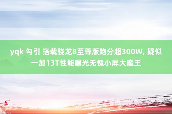yqk 勾引 搭载骁龙8至尊版跑分超300W, 疑似一加13T性能曝光无愧小屏大魔王