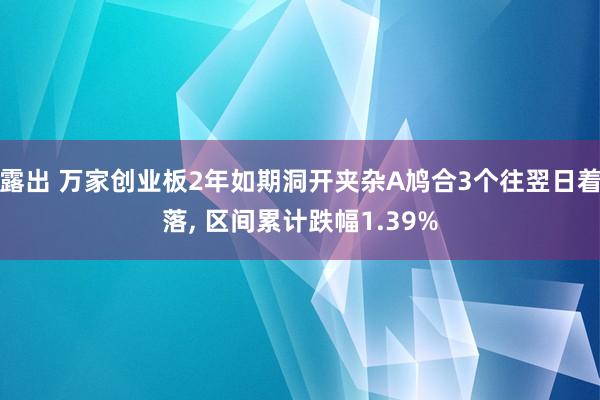 露出 万家创业板2年如期洞开夹杂A鸠合3个往翌日着落, 区间累计跌幅1.39%
