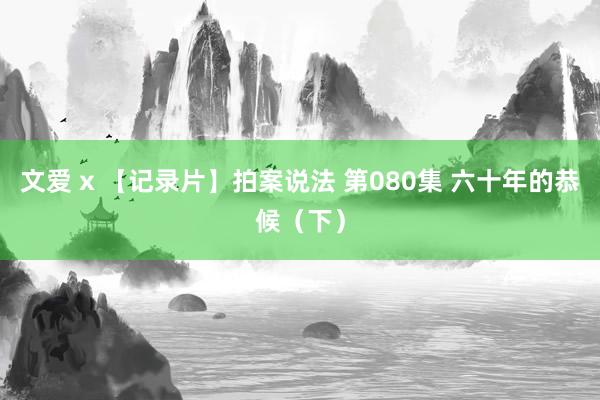 文爱 x 【记录片】拍案说法 第080集 六十年的恭候（下）